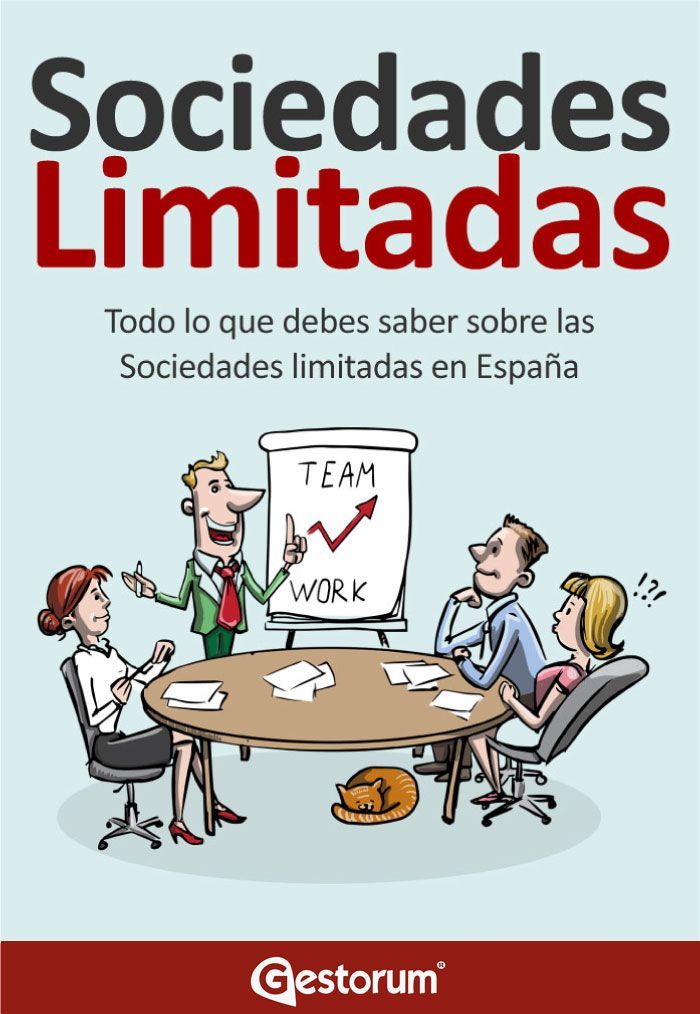 Guía Sociedad limitada